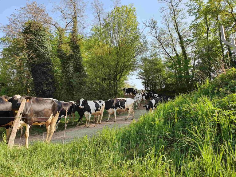 Les Yaourt de Sandrine 68 Osenbach