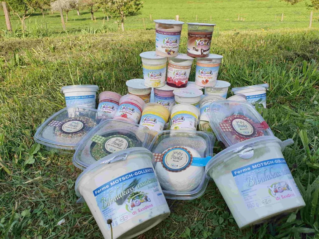 La collection de yaourts de Sandrine 68 Osenbach Alsace Produits laitiers, fromage, bibalakas, yaourts sandrine 68 Osenbach Alsace