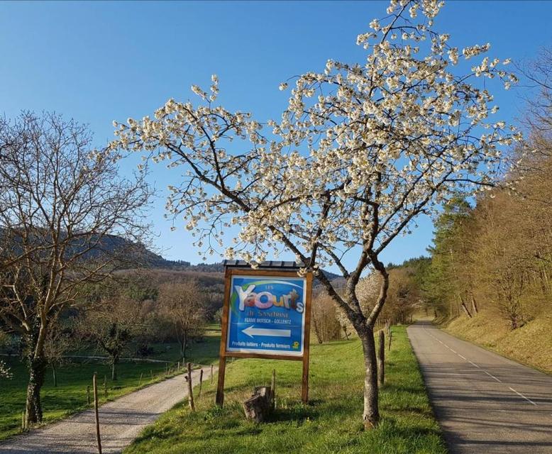Entrée Les Yaourts de Sandrine 68 Osenbach Alsace