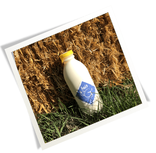 Lait