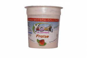 portfolio-fraise 2_clipped_rev_1