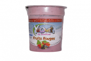 portfolio-fruit rouge 2_clipped_rev_1