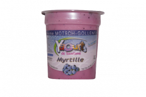 portfolio-myrtille 2_clipped_rev_1