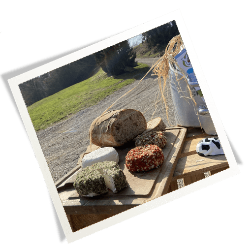 Fromages dégustations