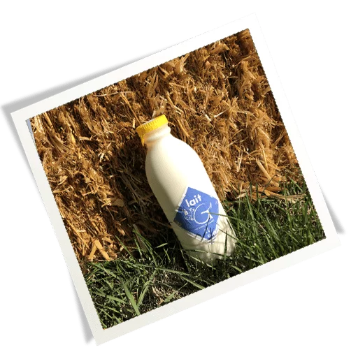 Lait