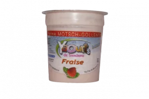 portfolio-fraise 2_clipped_rev_1