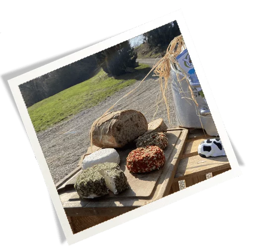 Fromages dégustations